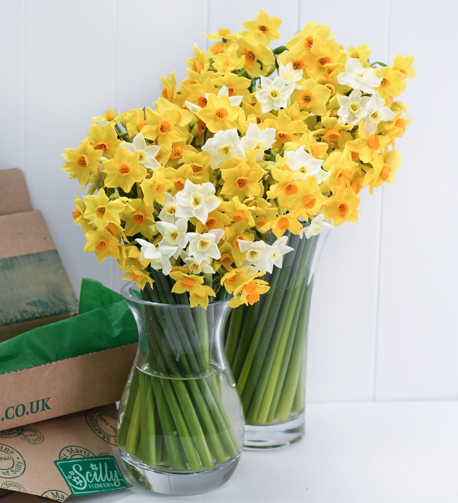60 Scented Narcissi | Flowers By Post | Scilly Flowers
