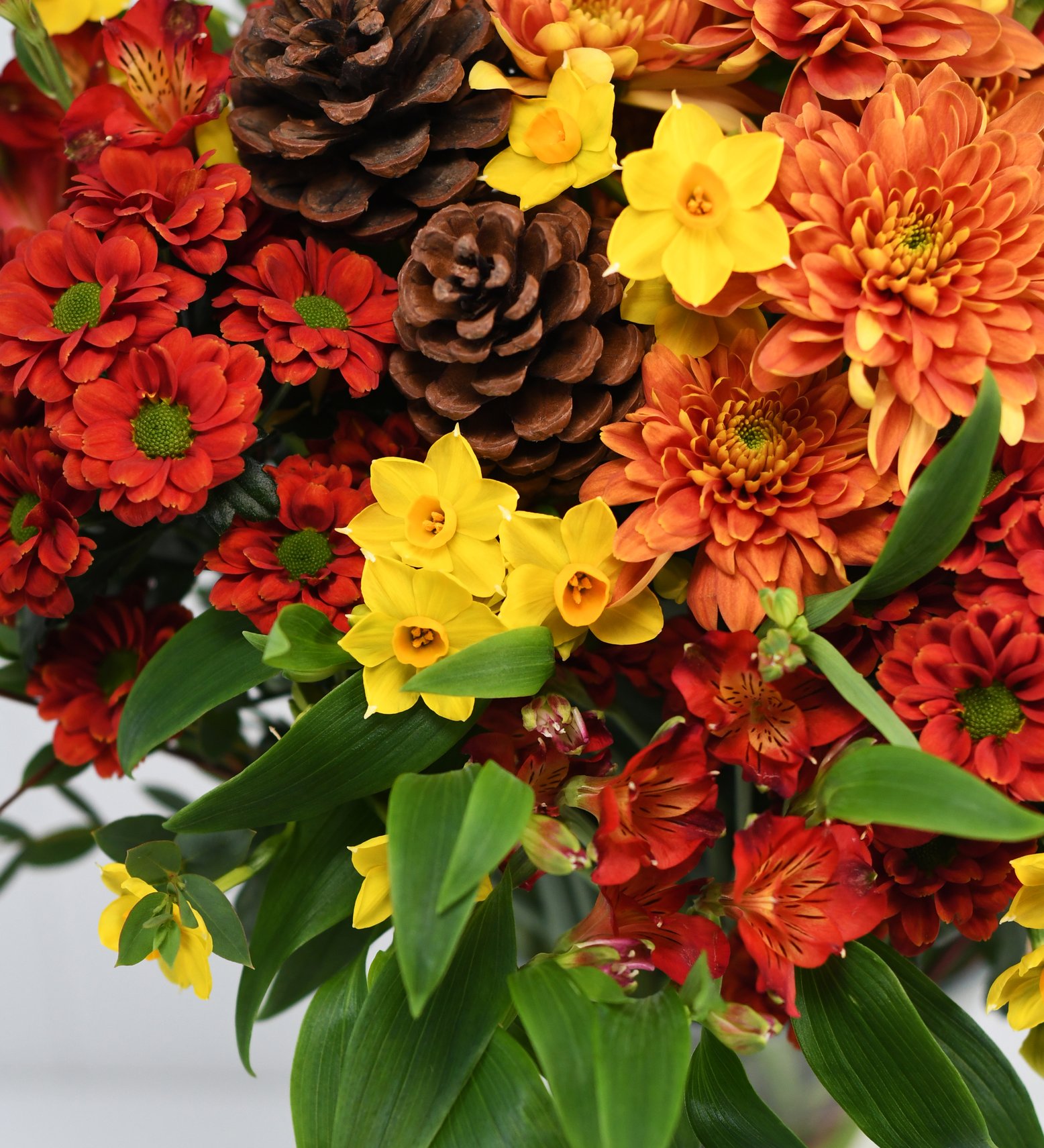 Scented Christmas Posy Bouquet Scilly Flowers By Post