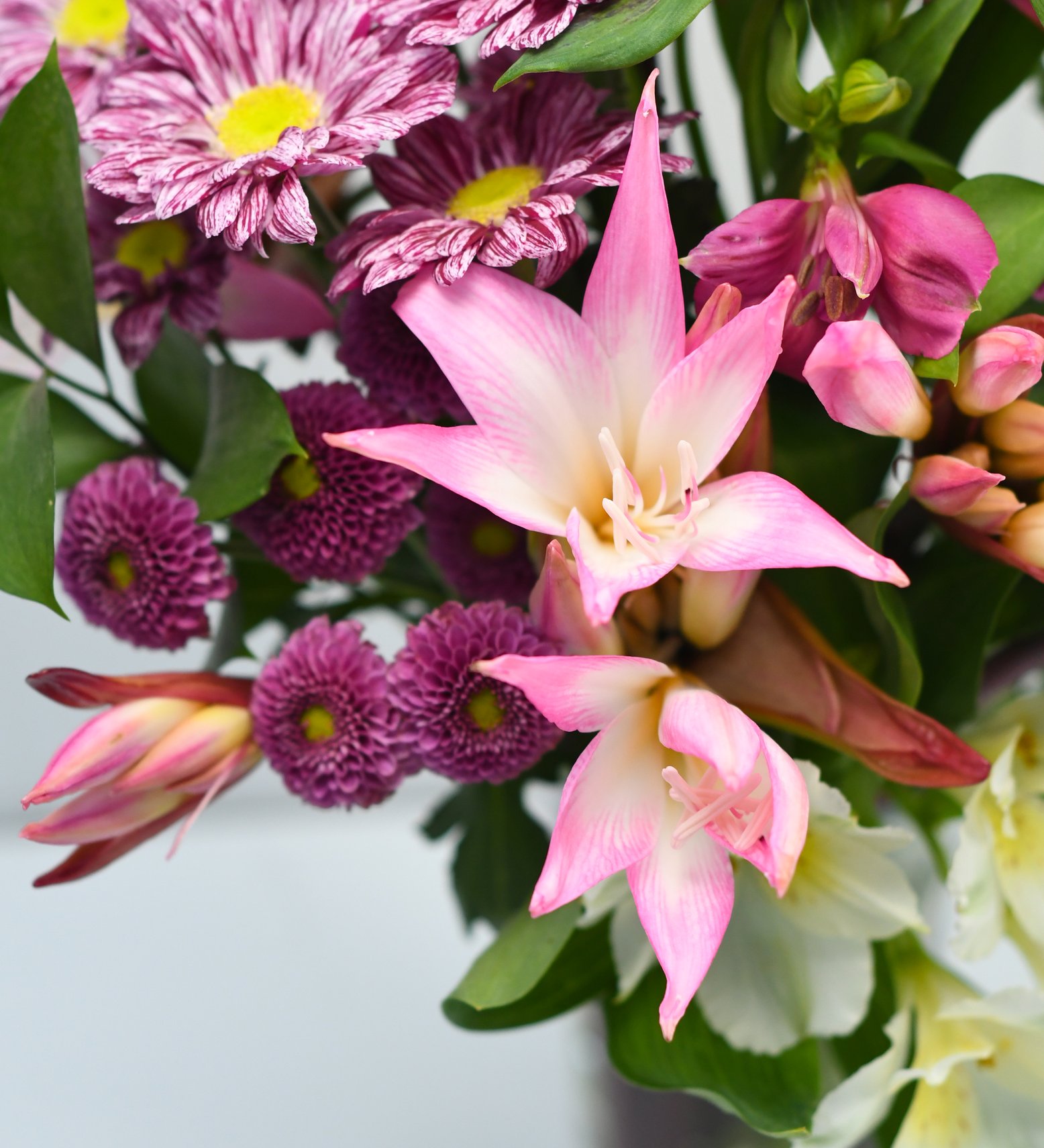 Posy Bouquet Scilly Flowers By Post Direct From The Farm