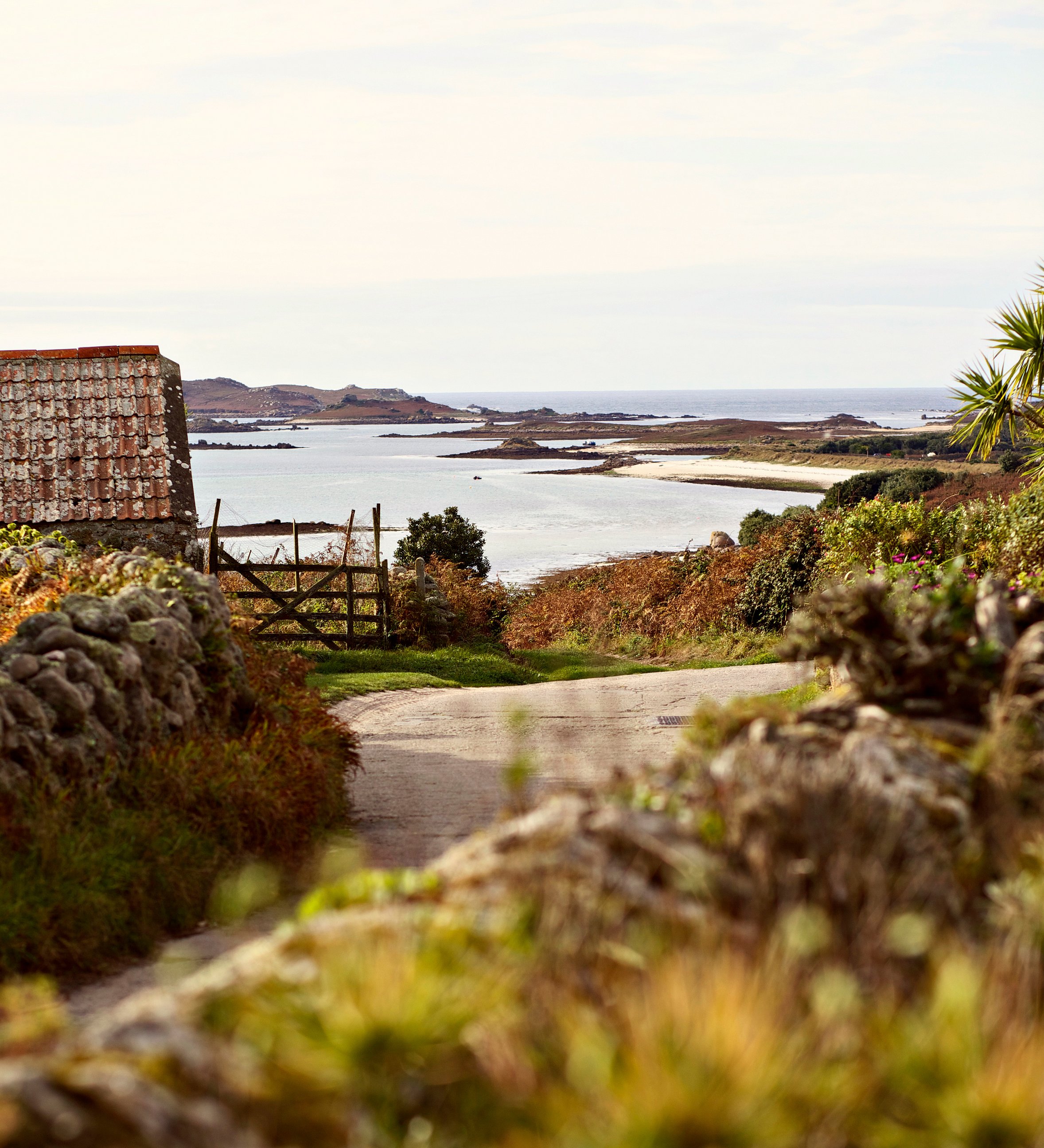 Churchtown Farm Webcam | Live Views Of The Isles of Scilly